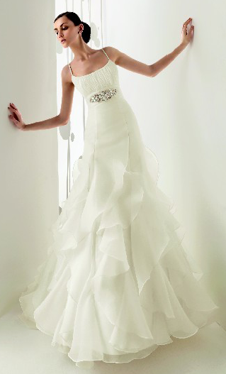 2009-08-27_101656 2009-08-27_101656