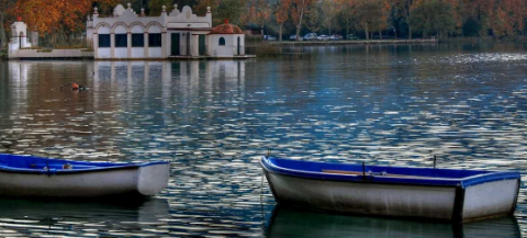 Frase de Catherine Rambert