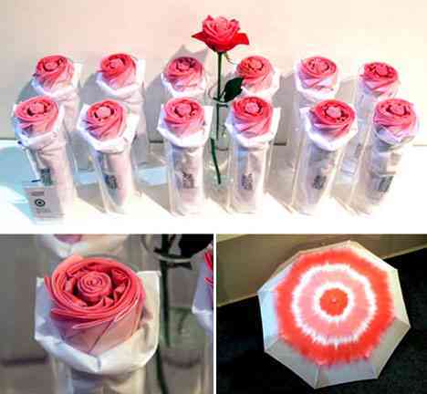 Rosa-paraguas Rosa paraguas