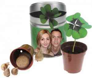 latita-trebol-cuatro-hojas-detalle-regalo-boda latita-trebol-cuatro-hojas-detalle-regalo-boda