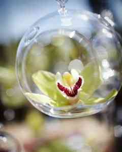 momental_designs14-May-09131120