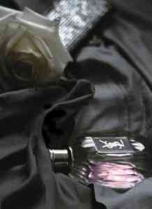 parisienne ysl parisienne ysl