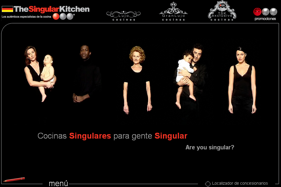 the singular kitchen