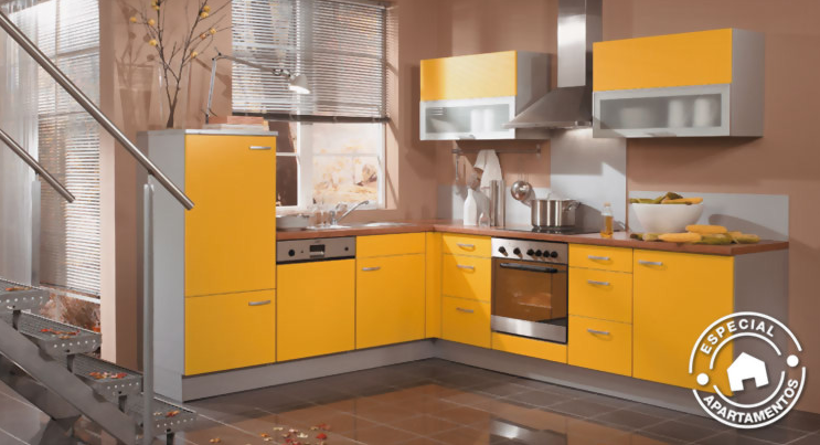 the singular kitchen1