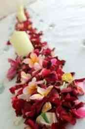 vi_56709_2374179_446543